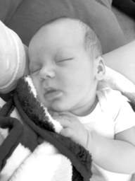 Karsyn James Stein